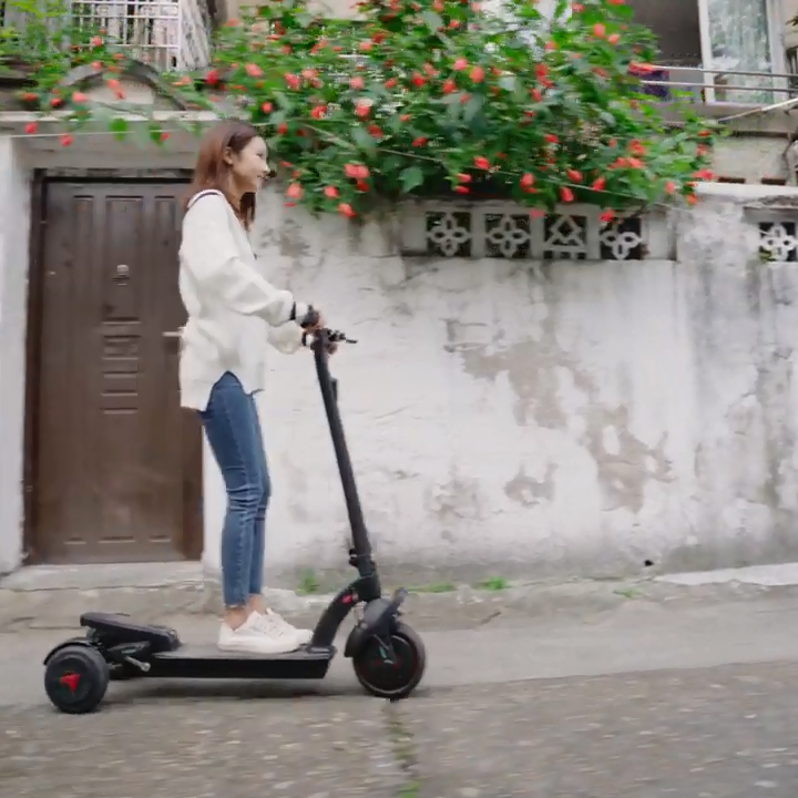 H&O X10 36V DC Electric Motor 300W Max Skateboard Power 3 wheel 3-Speed Adjustment Powerful scooter for sale