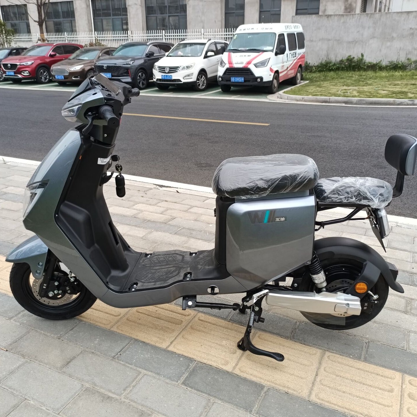 Multi-colors Options Adult Electric Scooters