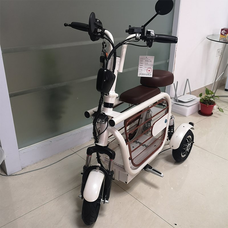 City Commuting Good Choice Vehicle Pet Friendly Tricycle Electric Scooters Three Wheel 2 Seats