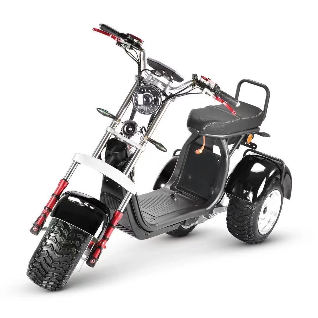 NEW DESIGN EEC COC High Quality Electric Scooter Citycoco 2000w 4000w Citycoco Removable Battery E Chopper