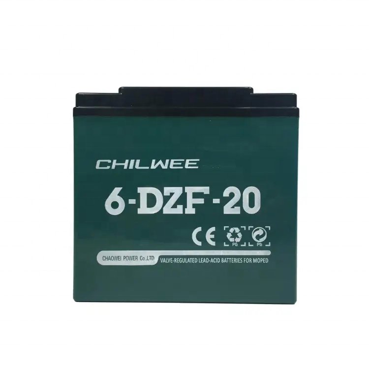 electric scooter accessories citycoco spare parts lithium battery chilwee battery citycoco parts TN battery