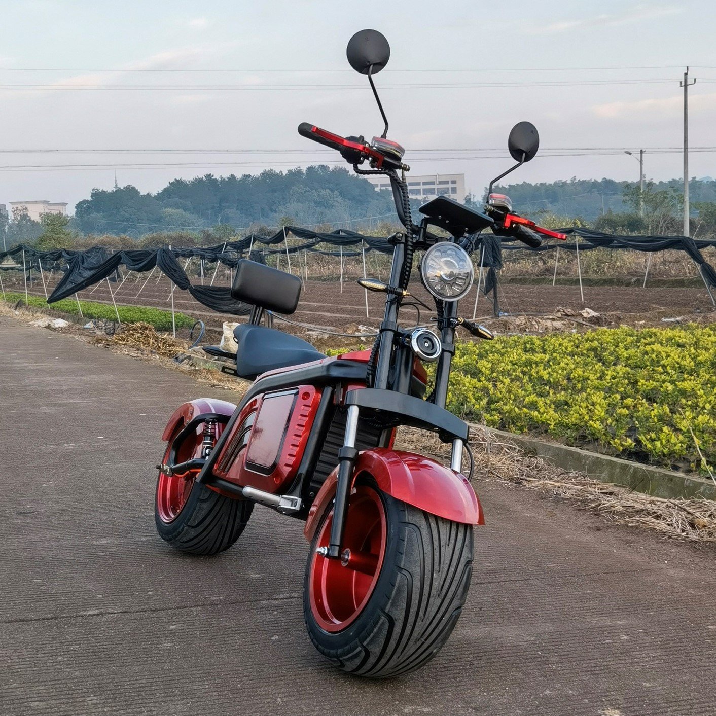 Europe Warehouse Electric Scooter 2000W Adult Electric Motorcycle Cococity Scooter Golf Bike
