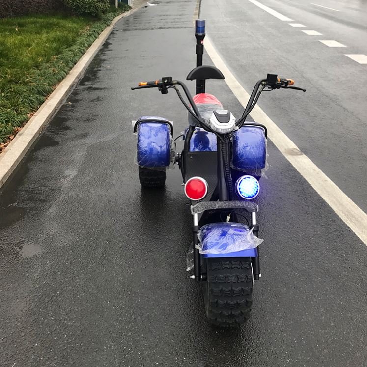 Three wheels removable battery adult off road fat tire electric scooter citycoco
