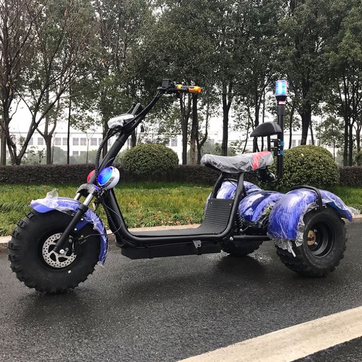 Three wheels removable battery adult off road fat tire electric scooter citycoco