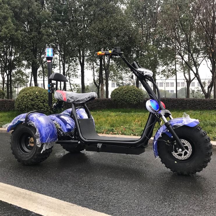 Three wheels removable battery adult off road fat tire electric scooter citycoco