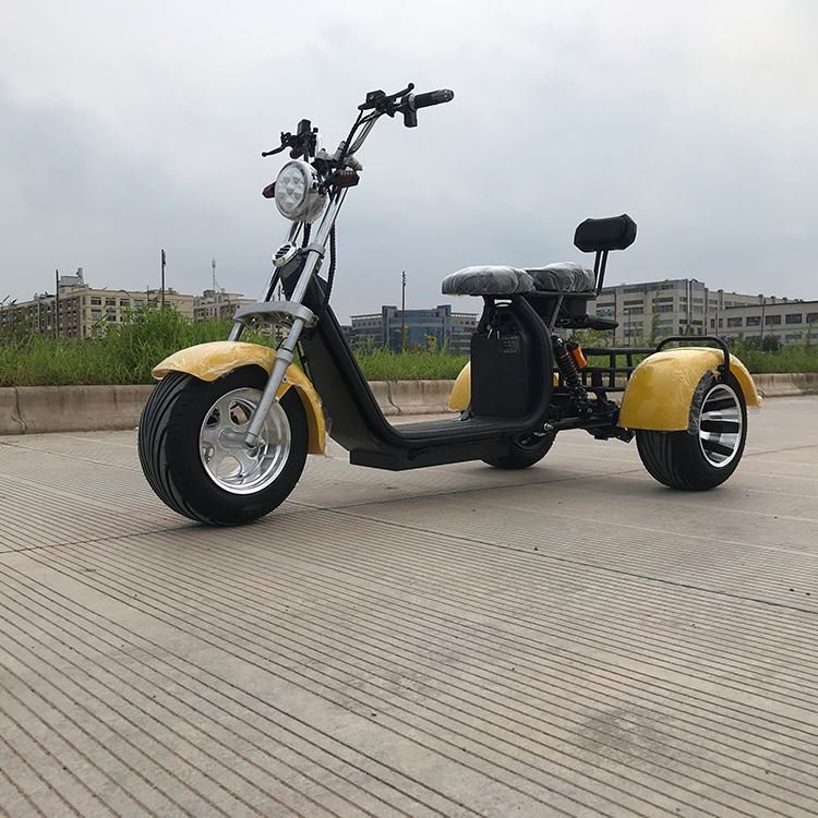 Three wheels removable battery adult off road fat tire electric scooter citycoco