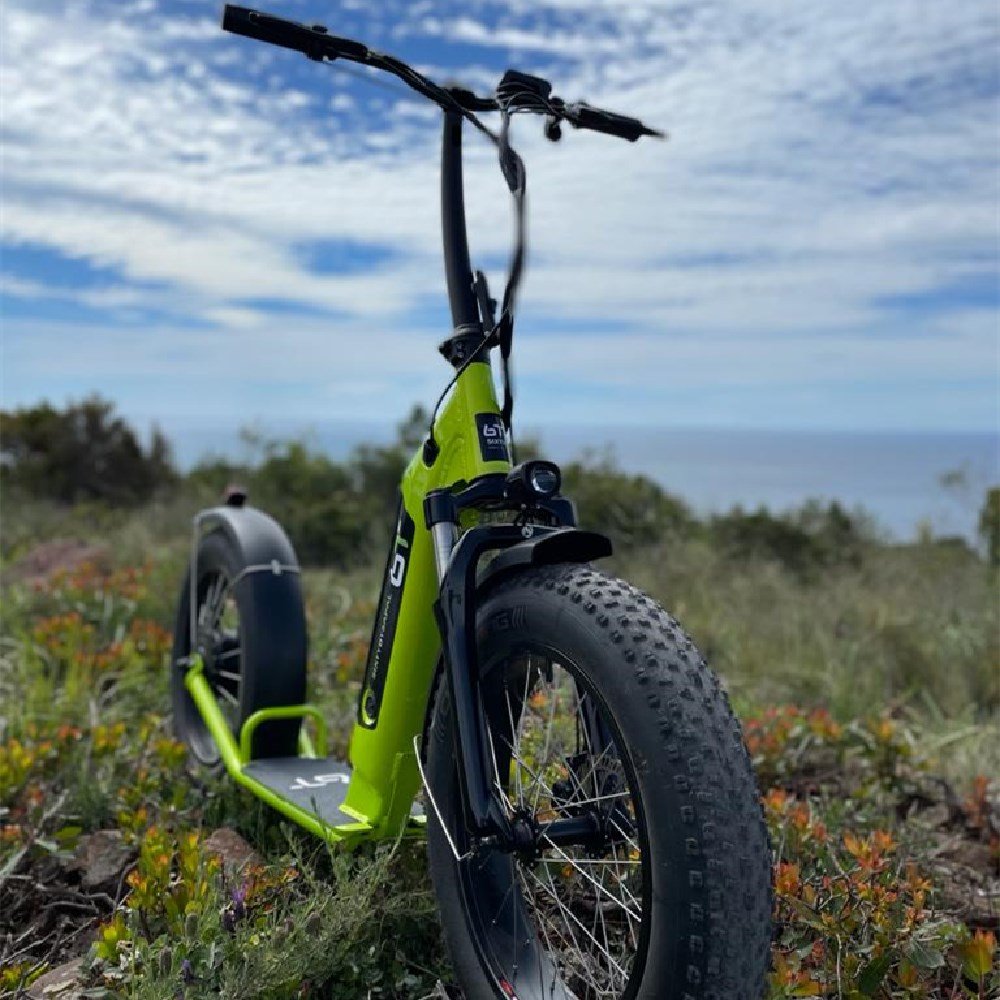 Off Road Two Wheel 20 Inch Electric Scooter