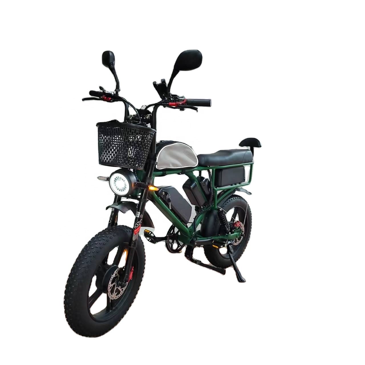 52V Electric Bike Dual Motor Dual Battery 2000W 44Ah Strong Suspension Hydraulic Brake Stab Proofed Tire 65kmh Electric E Bike