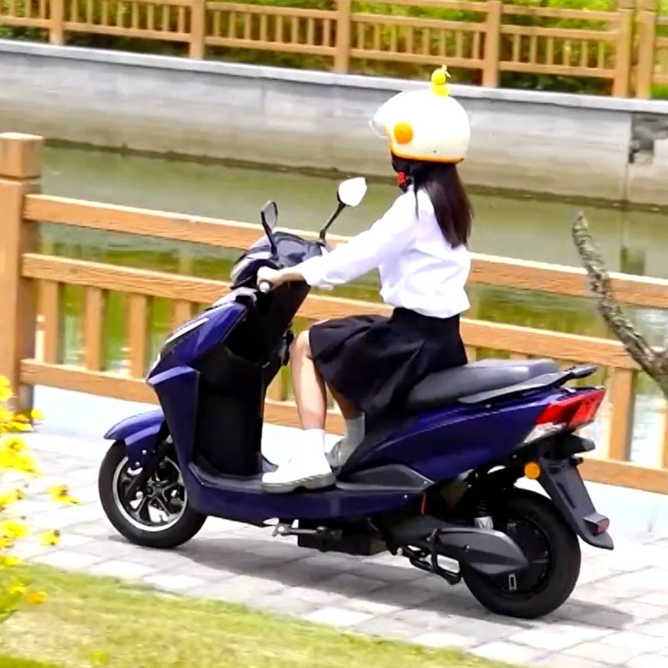 Inida Hot 600W/800W 40-50km/h Speed 45-65km Range Removable Battery electric Two Wheeler scooter With EEC