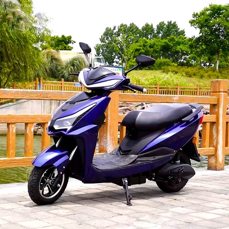Inida Hot 600W/800W 40-50km/h Speed 45-65km Range Removable Battery electric Two Wheeler scooter With EEC