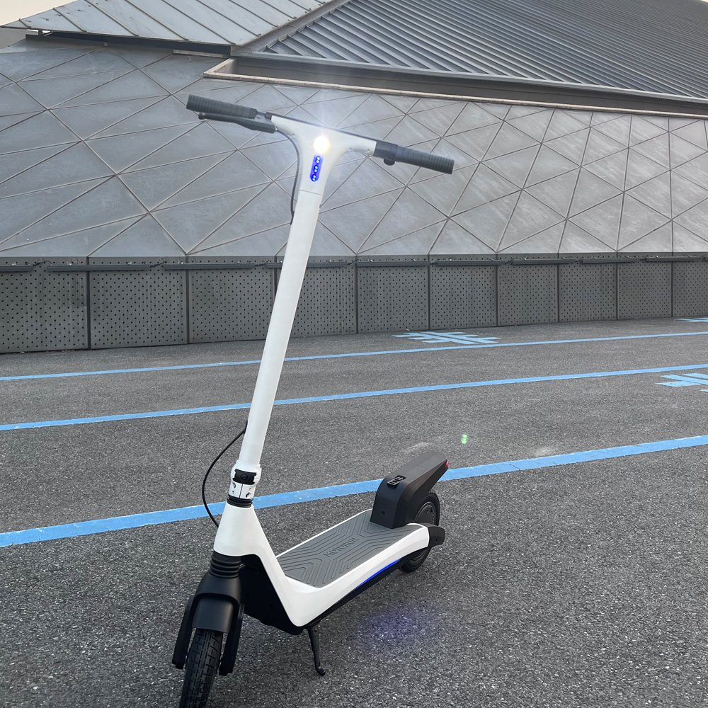 EU Warehouse Elektro Scooter Foldable 2 Wheels Scooter Electric Adult Max Smart Light double Motor Power