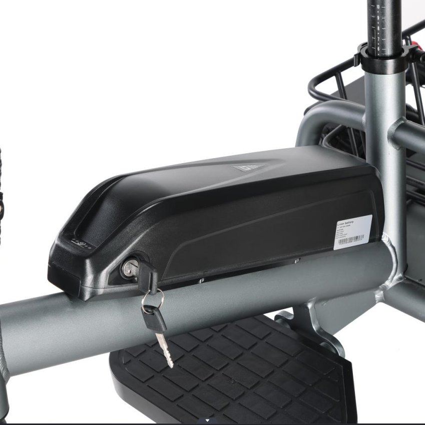 Elderly 250W 3 Wheels Lithium Battery Electric Scooter for disabled people