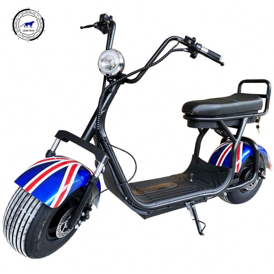 Holland Warehouse 2022 Fashion Skateboard/Citycoco LEON Eec Electric Scooters