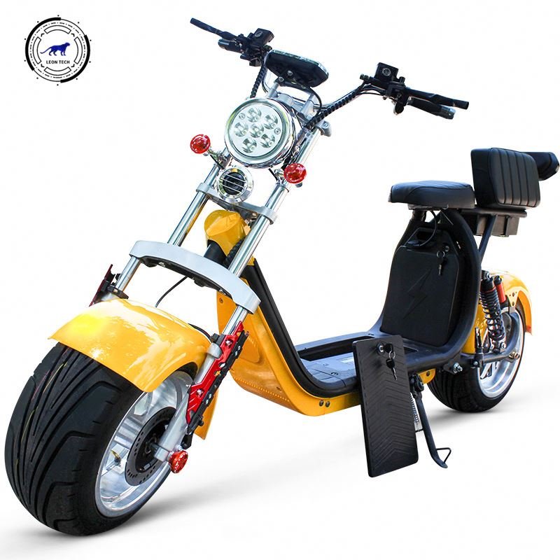 Holland Warehouse 2022 Fashion Skateboard/Citycoco LEON Eec Electric Scooters