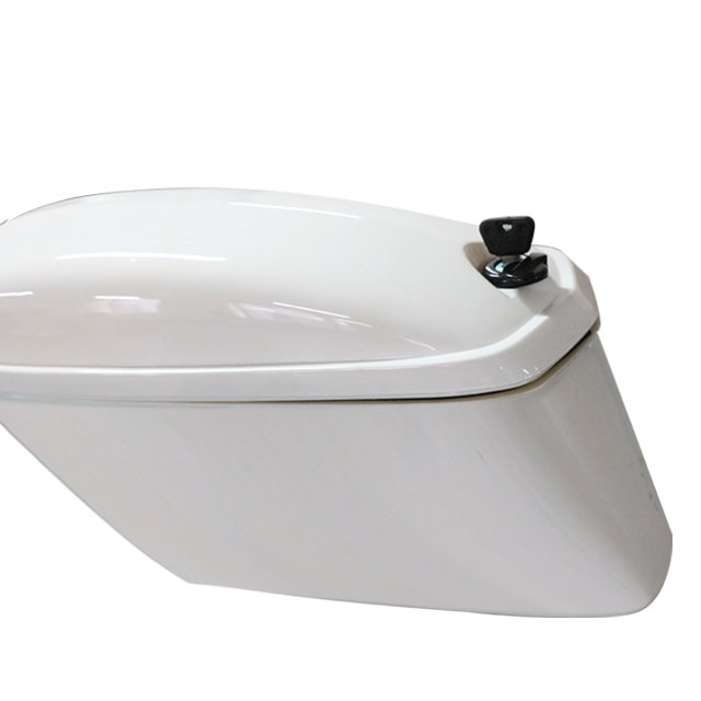 Hot sale 2400W high-power security patrol balance scooter 19 inch scooter rental electric self balancing scooter