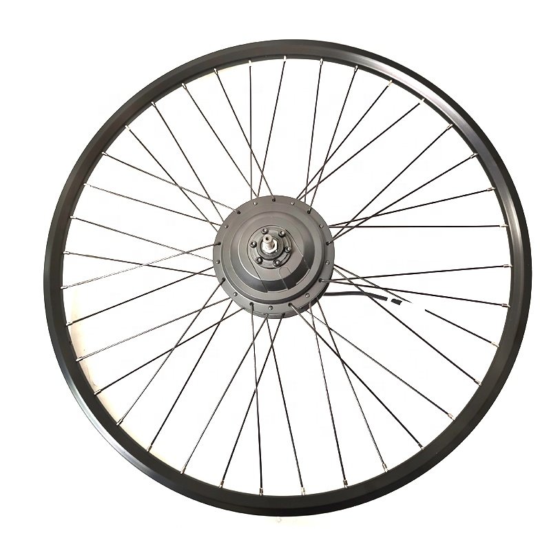 350W 24V 36V 48V Rear drive Rotary flywheel hub motor kit for Electric Bikes Parts Repair Replacement Conversion Kit