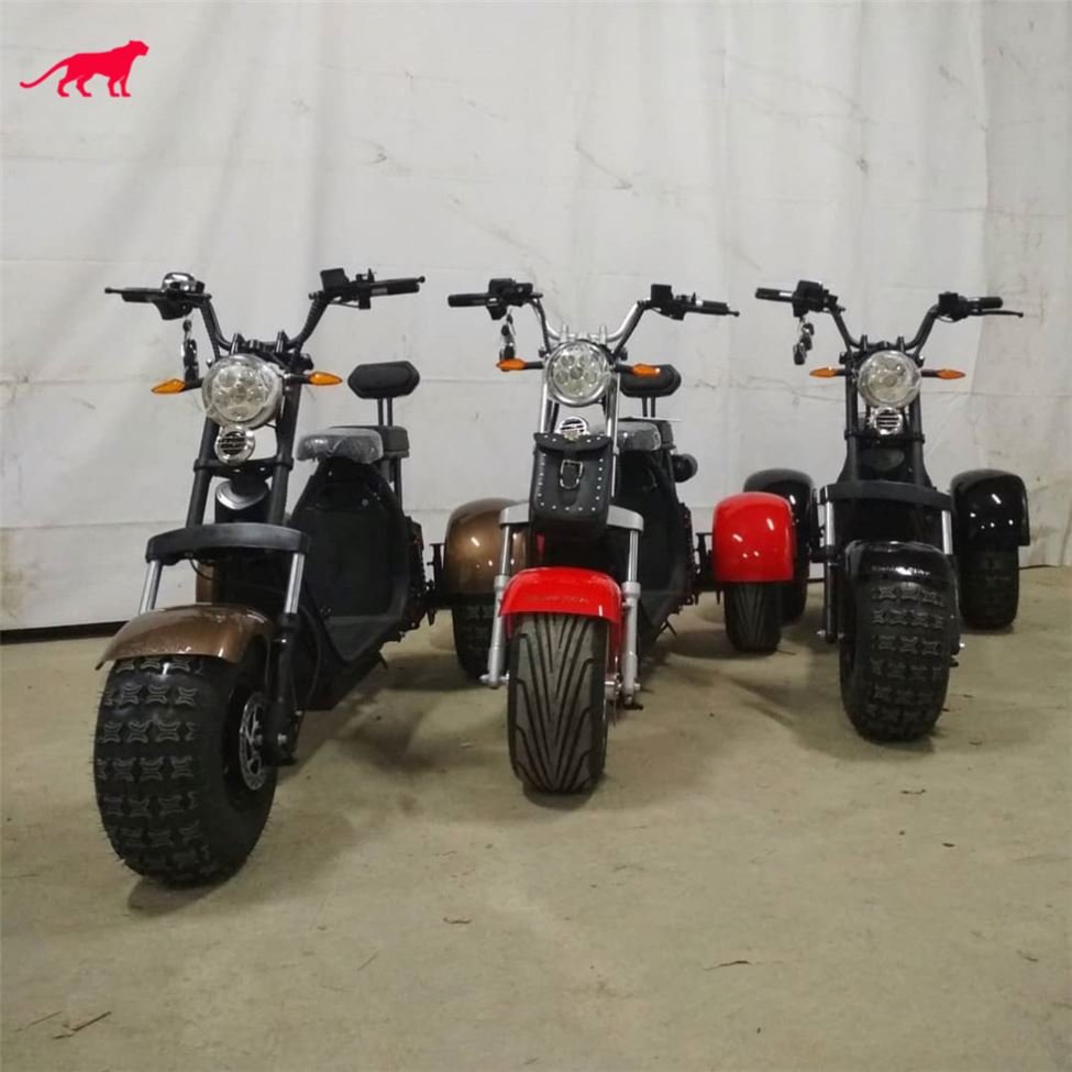 Scooter Citycoco 2000W Loud Speaker Electric Sco Paraguay