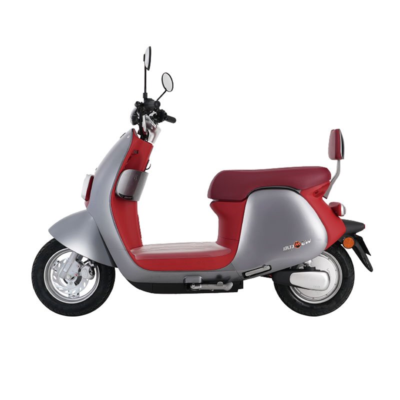 60V 20Ah Lithium Battery Electric Scooter for Adults with Electronic Brake and Disc Brake