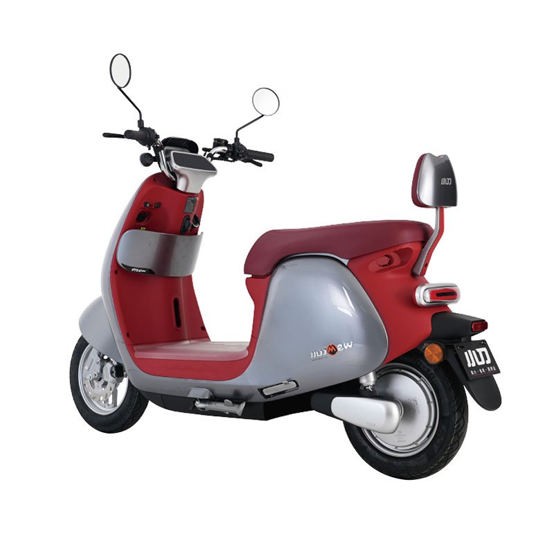 60V 20Ah Lithium Battery Electric Scooter for Adults with Electronic Brake and Disc Brake