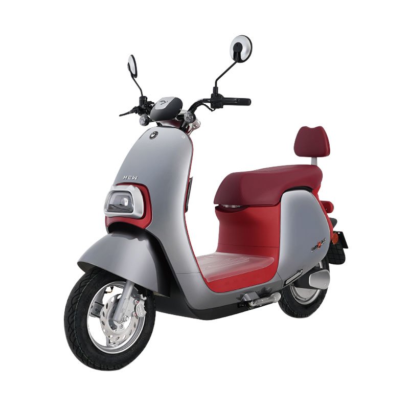 60V 20Ah Lithium Battery Electric Scooter for Adults with Electronic Brake and Disc Brake