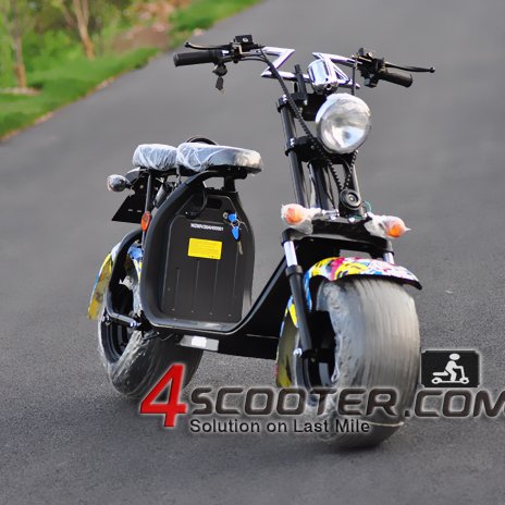 EEC COC CITYCOCO ELECTRIC SCOOTER gyro guewer gt