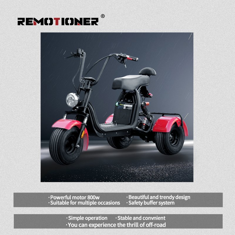 3 Wheel Electric Bicycle Motorcycles Citycoco 3 Wheel Electric Scooter Tricycles