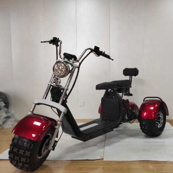 fat wheel citycoco parts 1000w scooter citycoco tricycle parts 1000w 3wheels tricycle kick tricycle citycoco spare parts