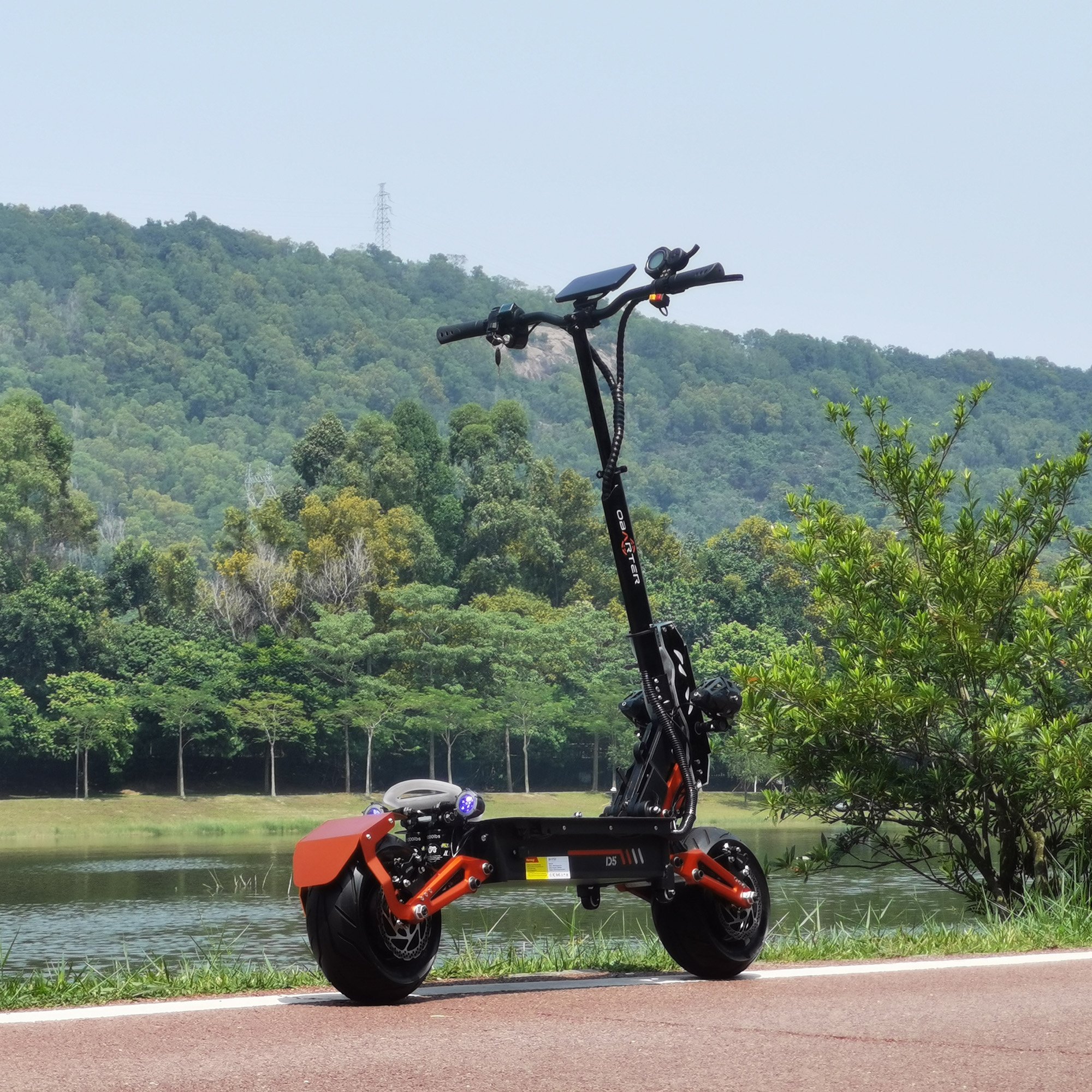 Eu Warehouse OBARTER D5 electric Scooter Dual drive 2500w 5000w Adult mobility Scooter removable battery 12 inches