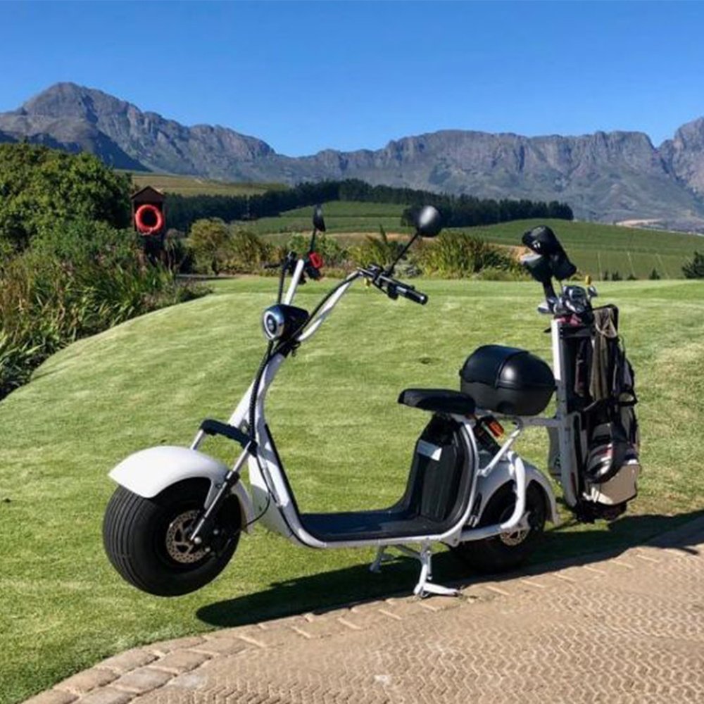 2000W Citycoco with golf bag carrier and phone holder citycoco electric scooter EU warehouse