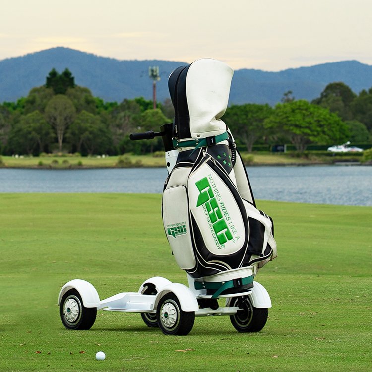 ESWING CE 48V 14aH Lithium Battery NFC 2000W 4 Wheels Golf Electric Scooter with Seat