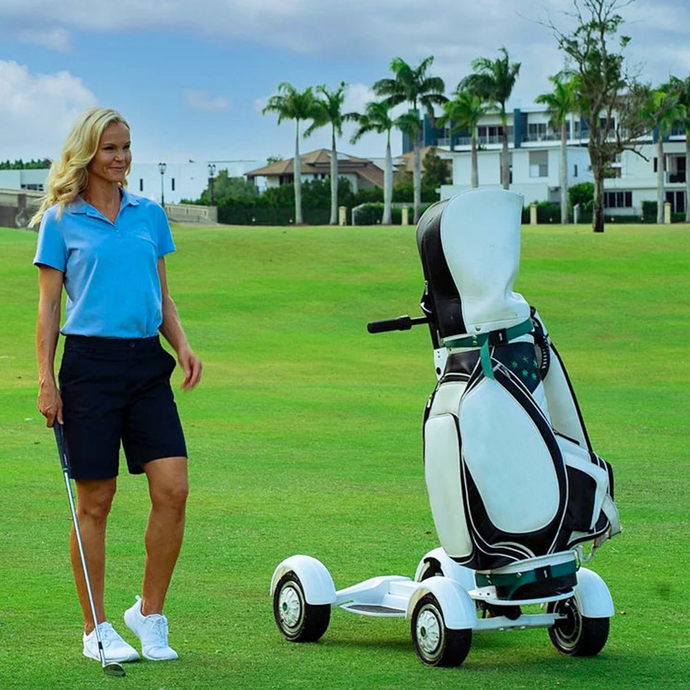 ESWING CE 48V 14aH Lithium Battery NFC 2000W 4 Wheels Golf Electric Scooter with Seat
