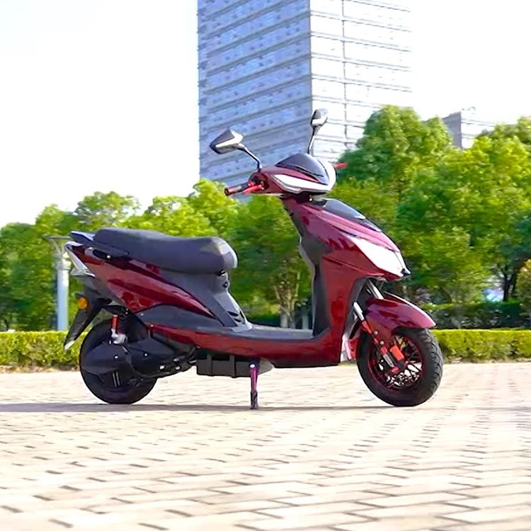 India CKD EEC 10inch 600W/800W 40-50km/h Speed 45-65km Range 2 Wheel Reverse Function electric scooter For Adult