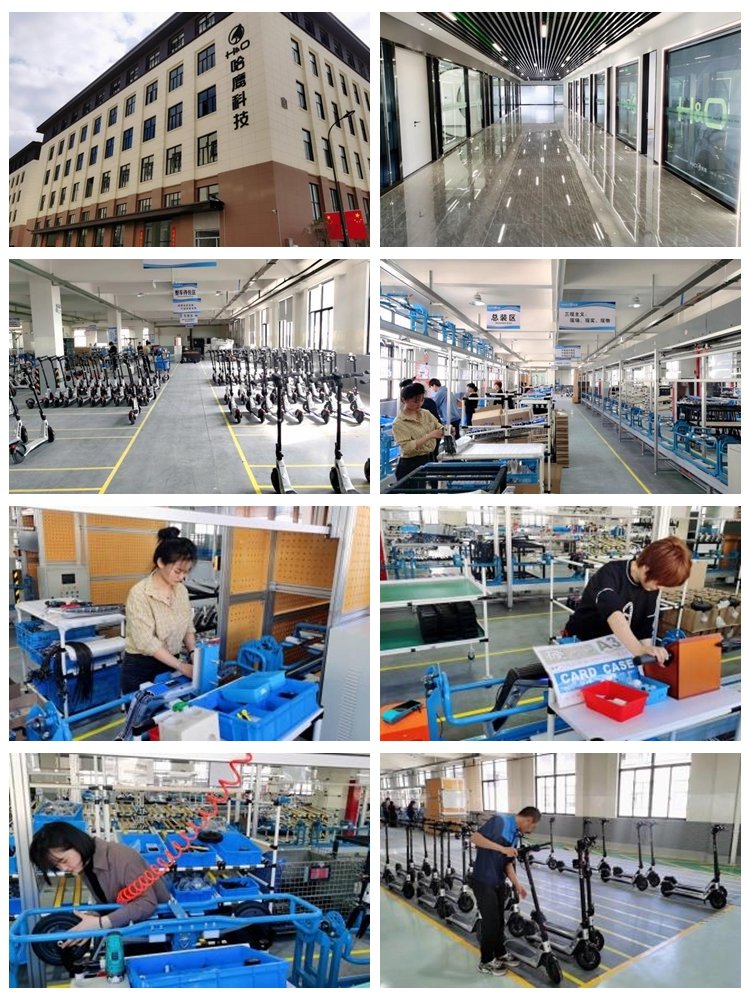 Waterproof 36V Magnesium Alloy Customizable Folding Electrica Skuter Electric Scooters E Electric Scooter