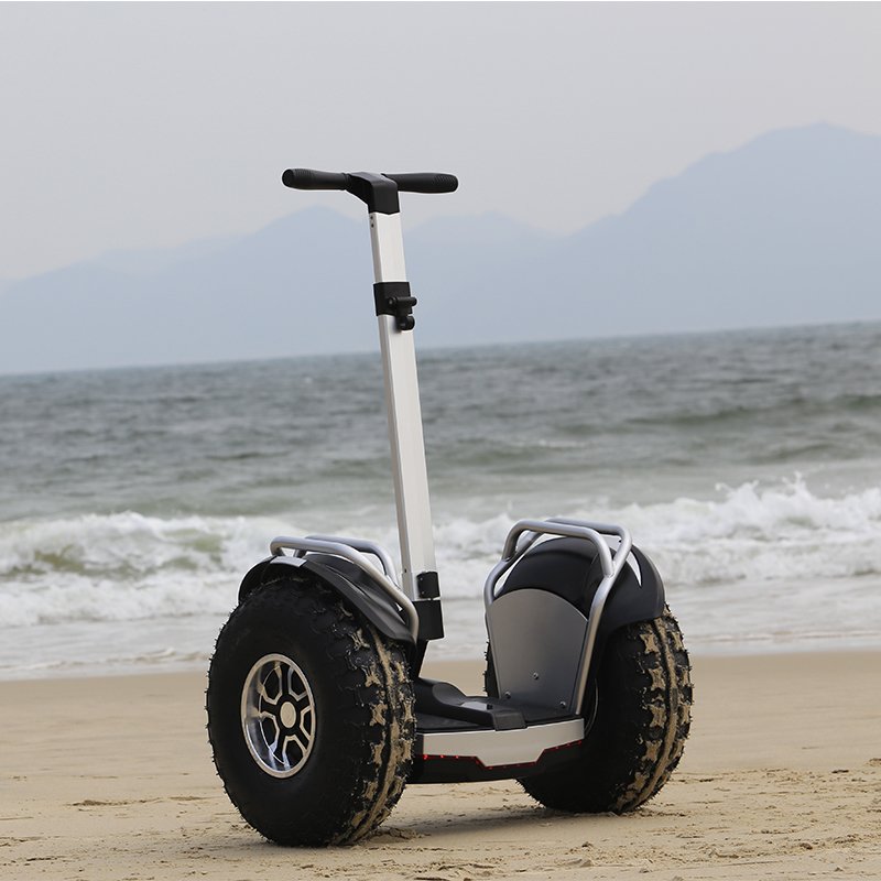 Factory Wholesale OEM 20Km/h Dual Motor 3000W Off Road 20 inch Fat Tire Two Wheel Self Balancing Electric Mobility Scooter