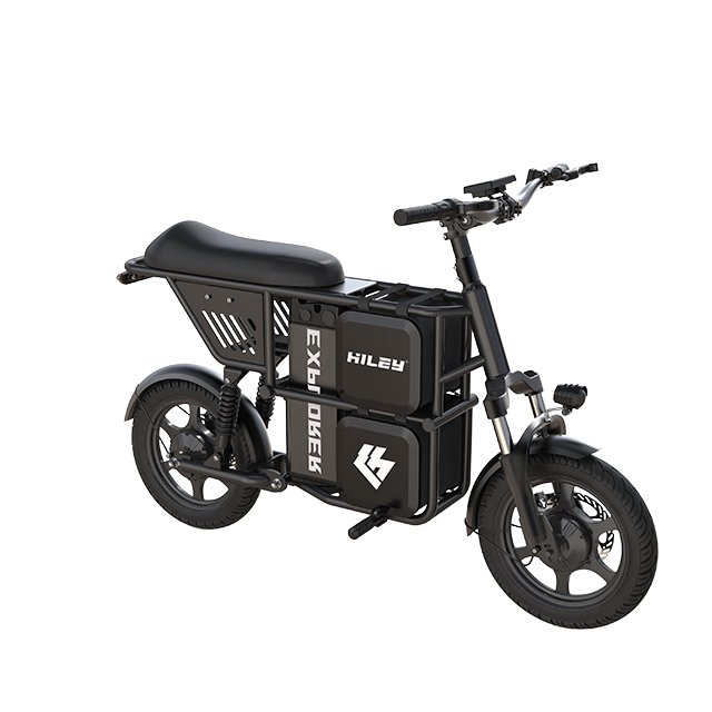 import electric scooter from china electric cargo bike
