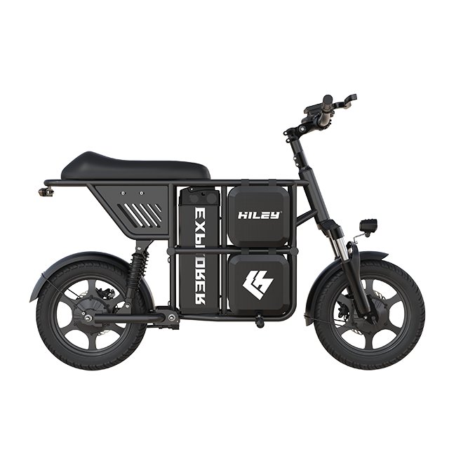 import electric scooter from china electric cargo bike