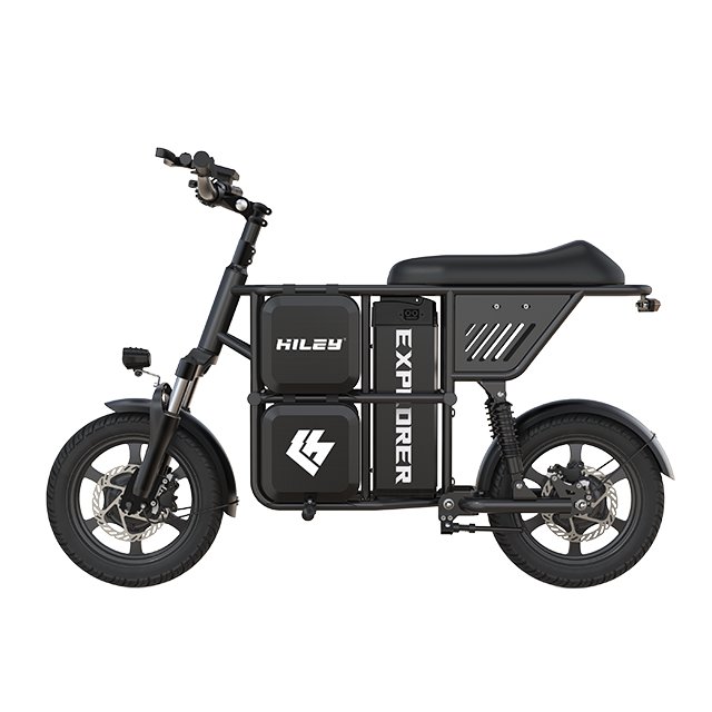 import electric scooter from china electric cargo bike