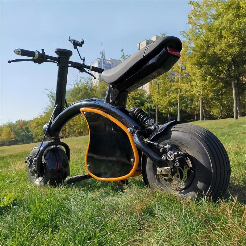 High Quality Cheap Motorcycle Electric EEC COC Urban Bluetooth 48V 20Ah Electric Citycoco Scooter Motorcycle