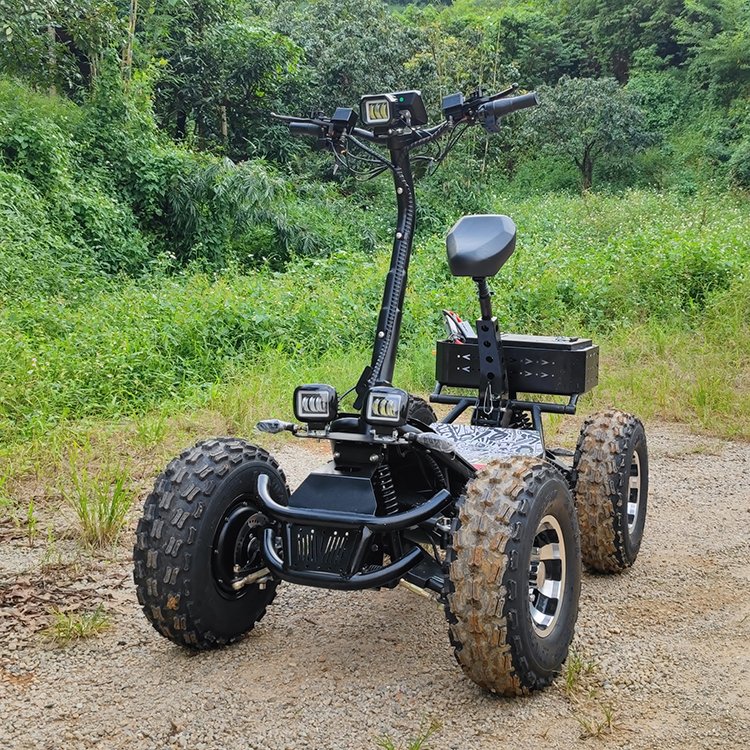 Tire suspension scooter Adult Golf Electric scooter Golf skateboard Ecorider E7-3 10 inch wheels