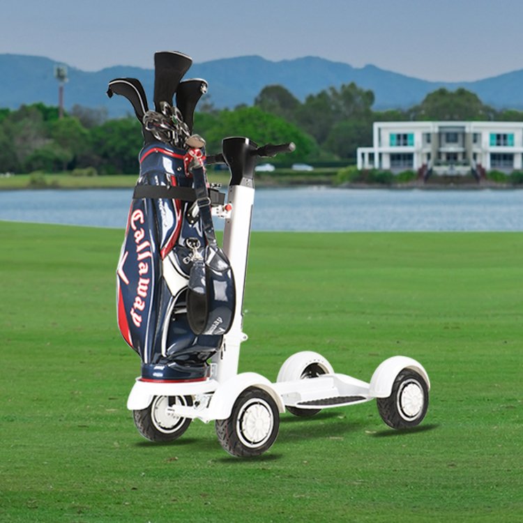 2024 hot sale electric scooter sharing GPS 2000W golf cart electric motor mobility scooter with golf bag holder
