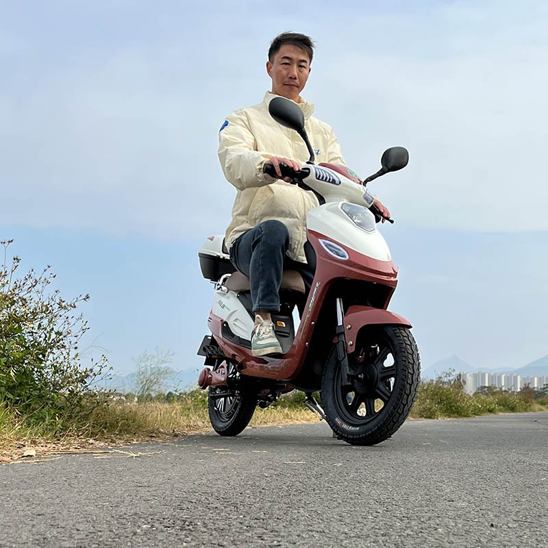 MiLG Wholesale CE EEC Elektro 350W/500W Pedal Assist Electric Scooter motorcycles with seat
