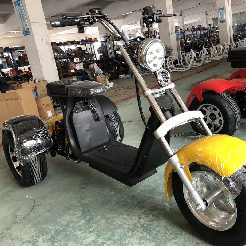 EU warehouse stock citycoco 10 inch fat tire 12-40Ah removable battery motorcycle electric scooters citycoco tricycle
