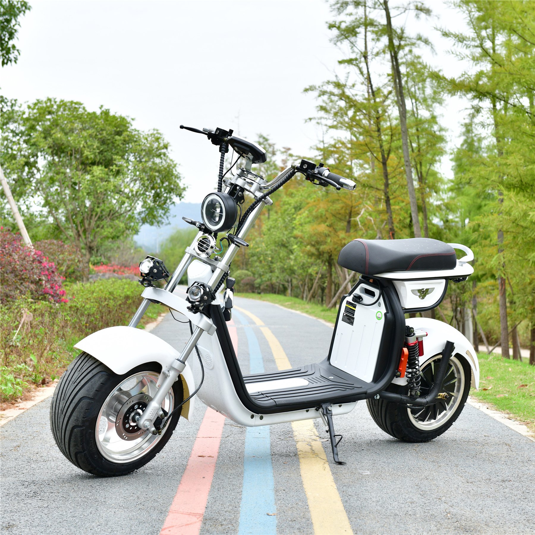 Chinese scooter Xiomi Handicap Scooter Electric Disabled Kids's Spare Parts 6000W Bike Adults Dual 500W Motors 4000W