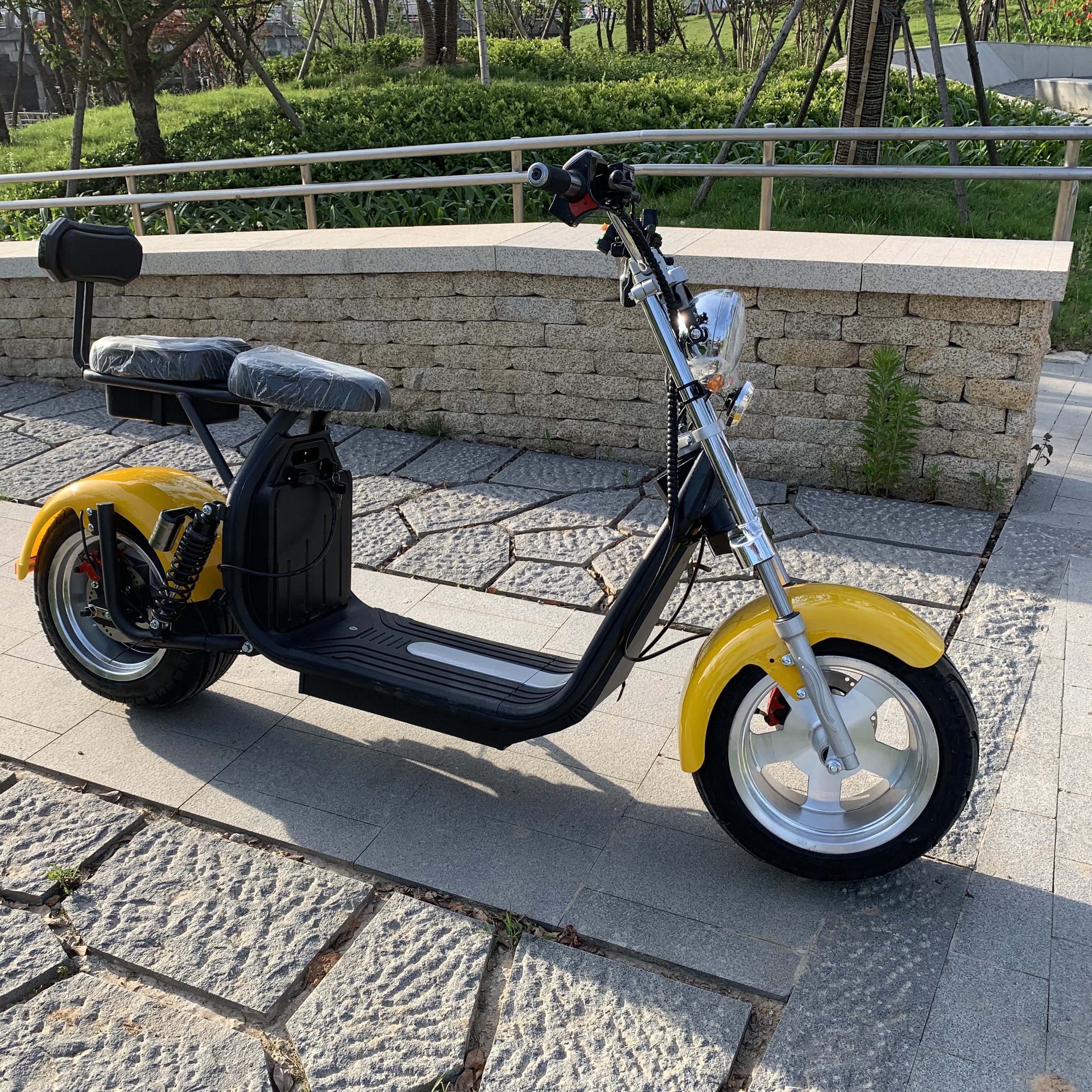 2024 New Disc Brake Electric Scooters 2000W 20AH Citycoco Removable Battery Scooter Electric Scooter