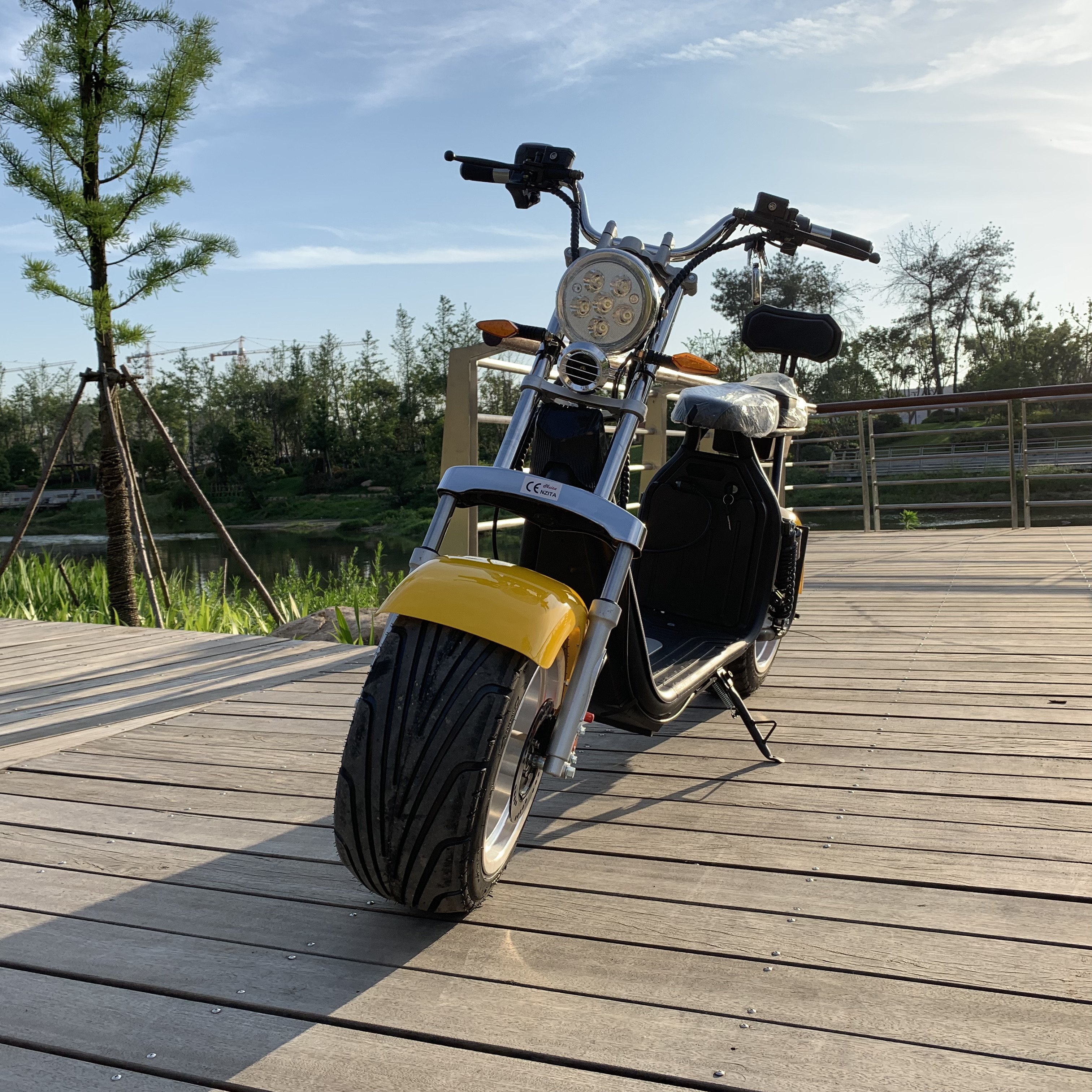 2024 New Disc Brake Electric Scooters 2000W 20AH Citycoco Removable Battery Scooter Electric Scooter