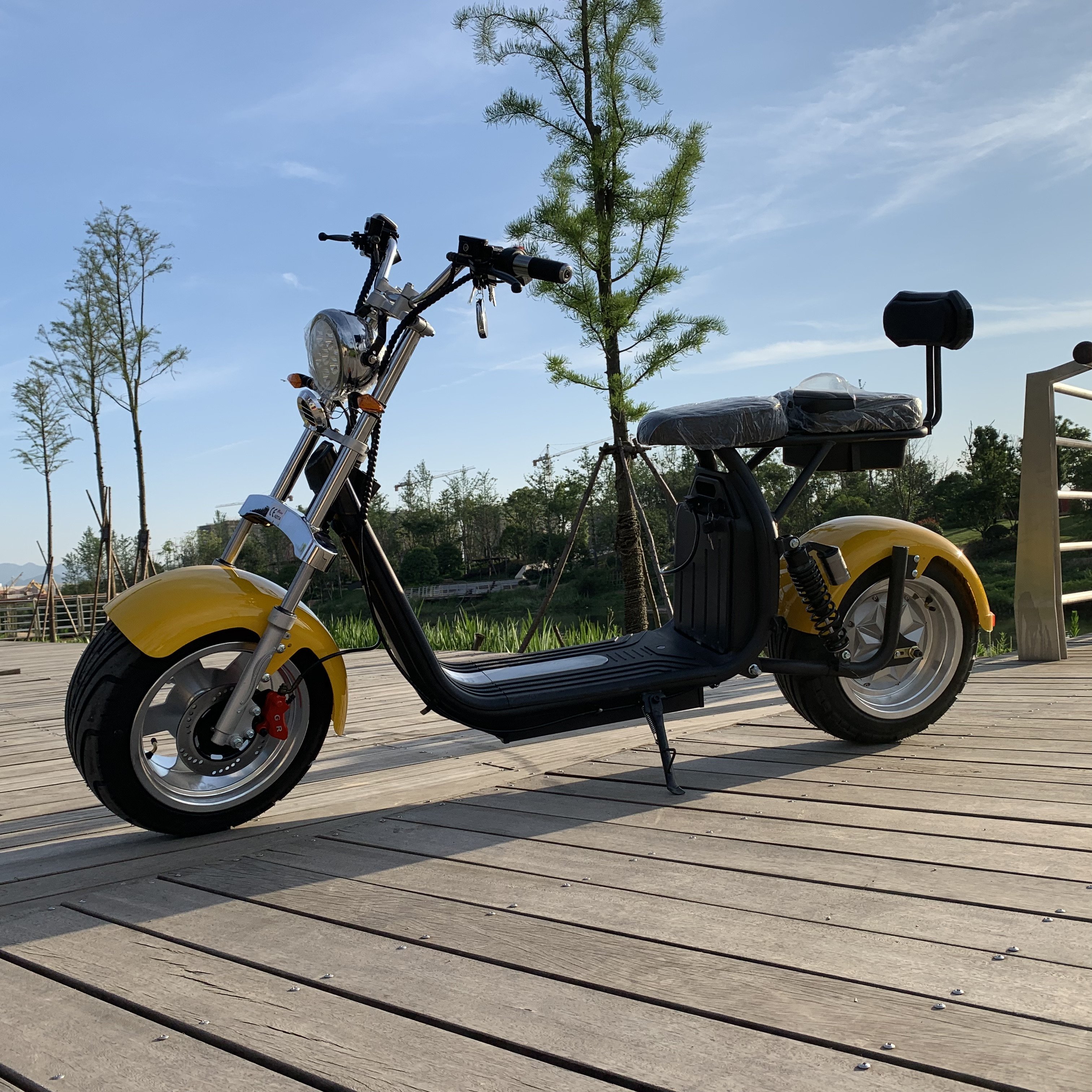 2024 New Disc Brake Electric Scooters 2000W 20AH Citycoco Removable Battery Scooter Electric Scooter