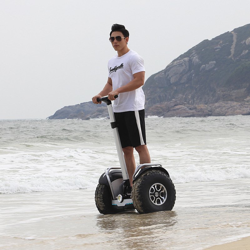 2021 New Self Balancing 2 Wheel Folding Wind Rover Stand Up Board Golf Backpack Electric Scooter Adult With Bag