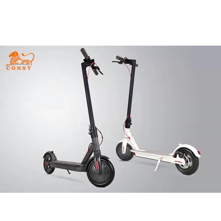 ES01 CE ROHS REASH electric scooter250w 36v 6ah 7.8ah 2 wheel adult electric scooter