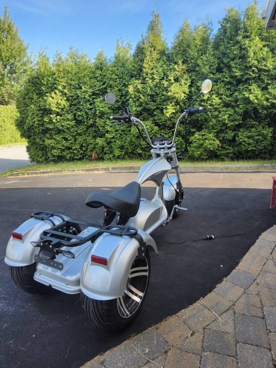 2024 2000W 4000W 70Km/H Three Wheel Tricycle City Coco Three Wheeler Electric Scooter 3 Wheel Trike Electric Citycoco Coc Eec