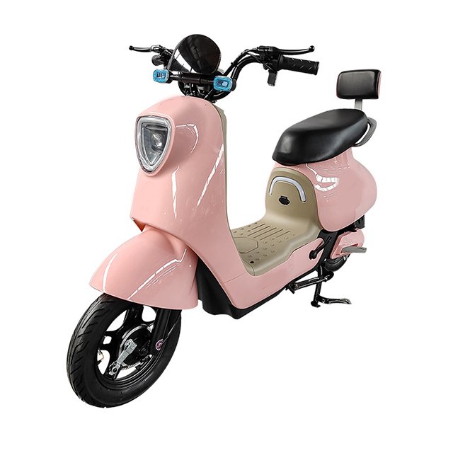 China Cheapest Electric Bicycle Lead Acid Battery Electric Scooter